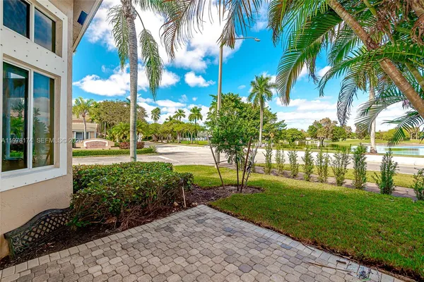 a garden with palm trees