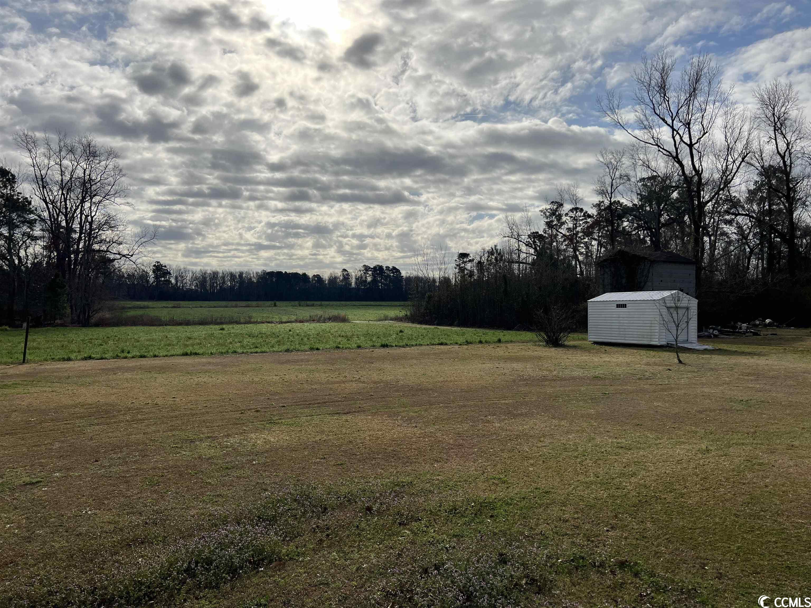 1662 Grain Bin Road Lake View, SC 29563 - Photo 29 of 39 Gallery Image 29