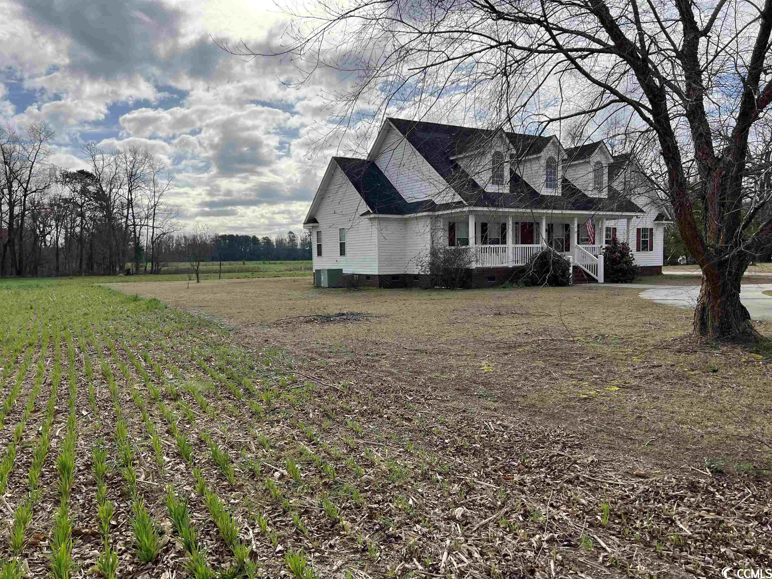 1662 Grain Bin Road Lake View, SC 29563 - Photo 38 of 39 Gallery Image 38
