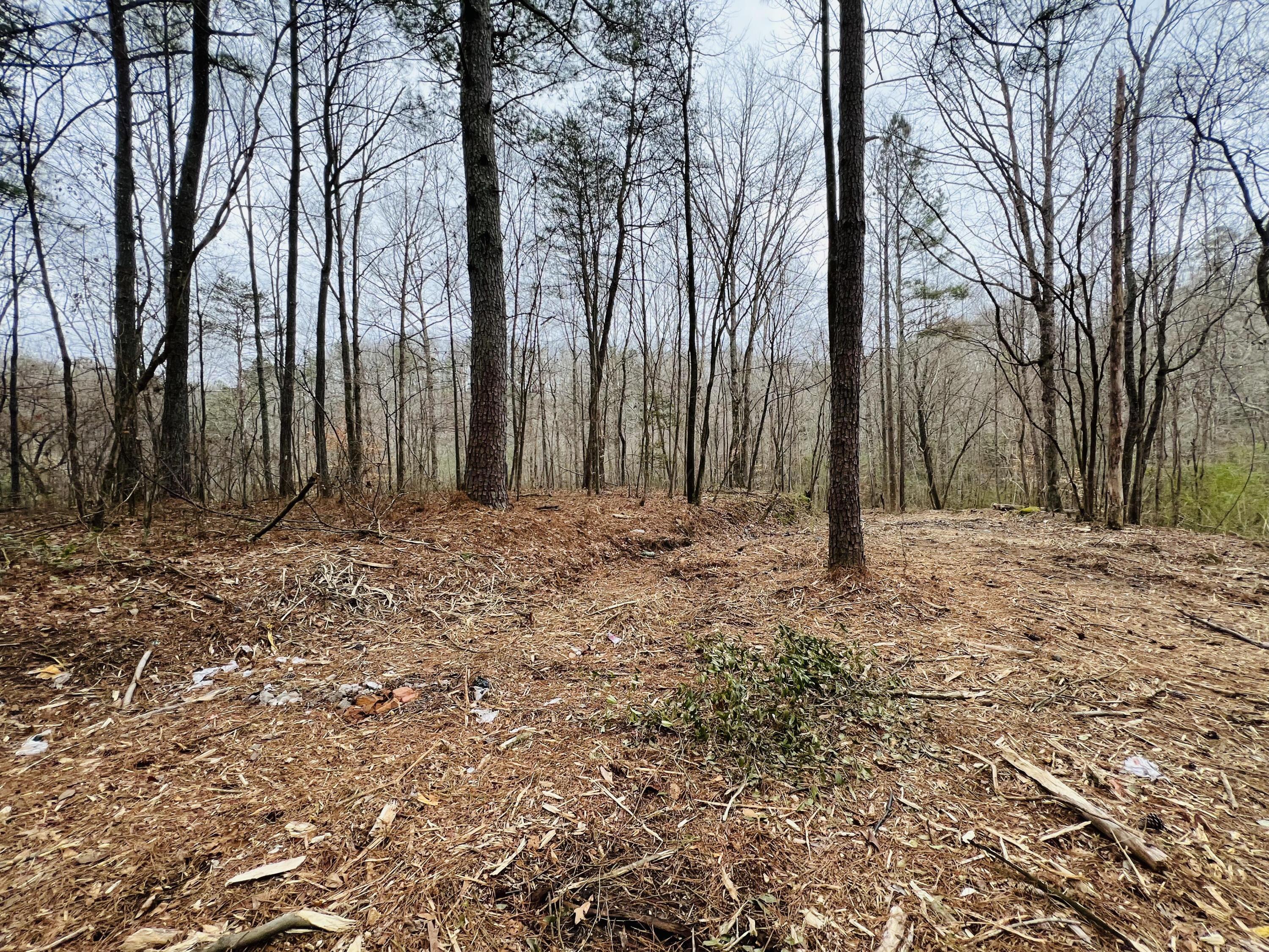 39 Co Road Addison, AL 35540 - Photo 16 of 32 Gallery Image 16