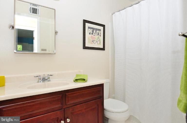 1251 Pine Hill Road McLean, VA 22101 - Photo 18 of 20 Bath #1