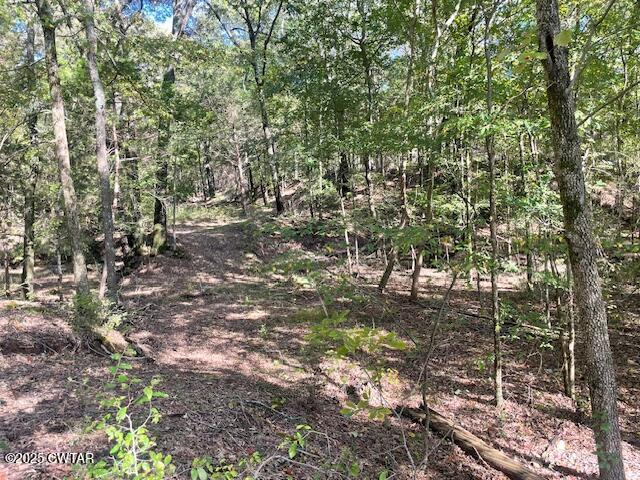 105 Booth Road Trenton, TN 38382 - Photo 10 of 24 IMG_2221