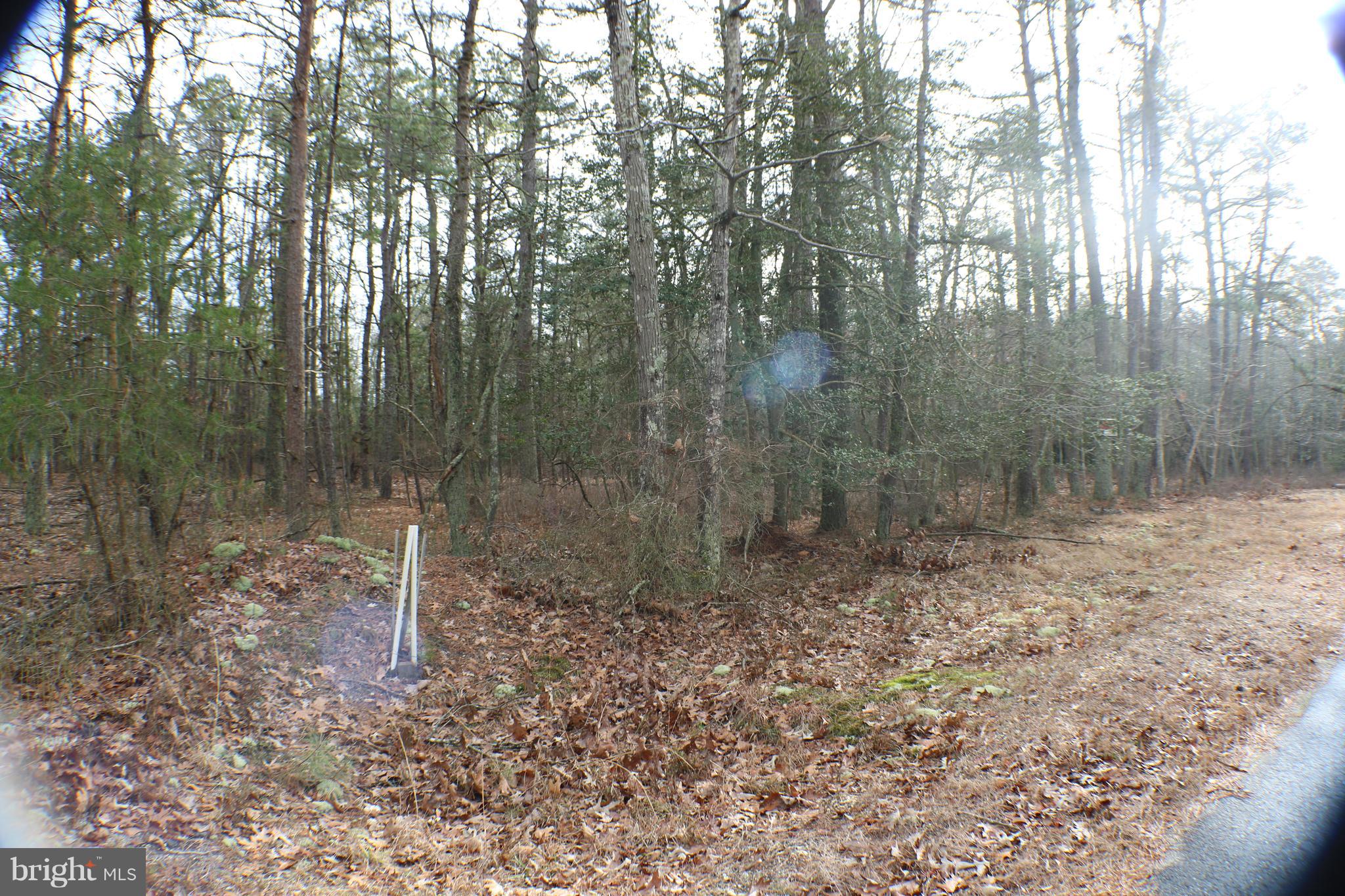 0 Barth Road Millville, NJ 08332 - Photo 4 of 5