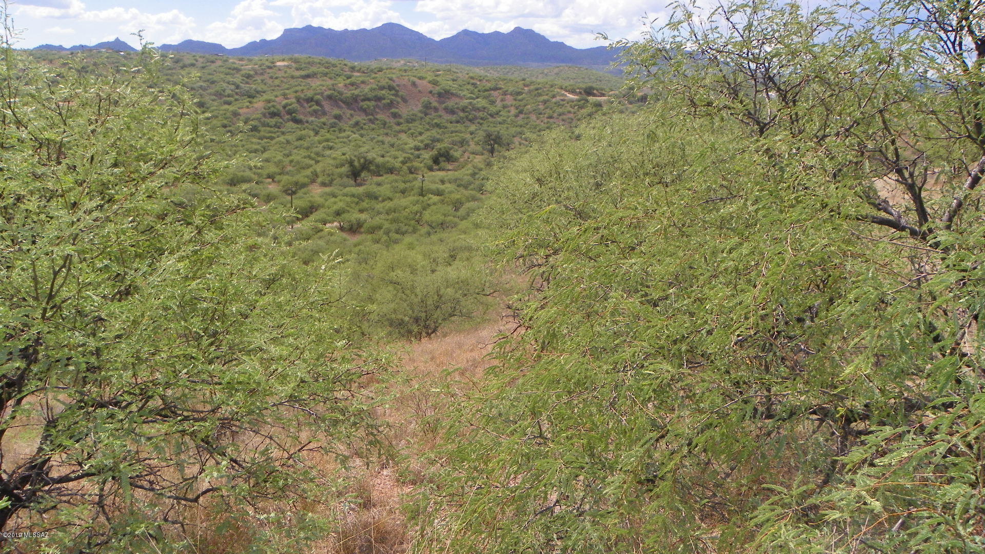 880 Via Mandan, Unit 4 Rio Rico, AZ 85648 - Photo 6 of 7