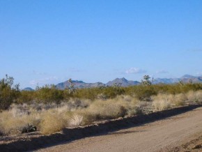 Cattle Crossing Road Yucca, AZ 86438 - Photo 2 of 4 Additional Photo