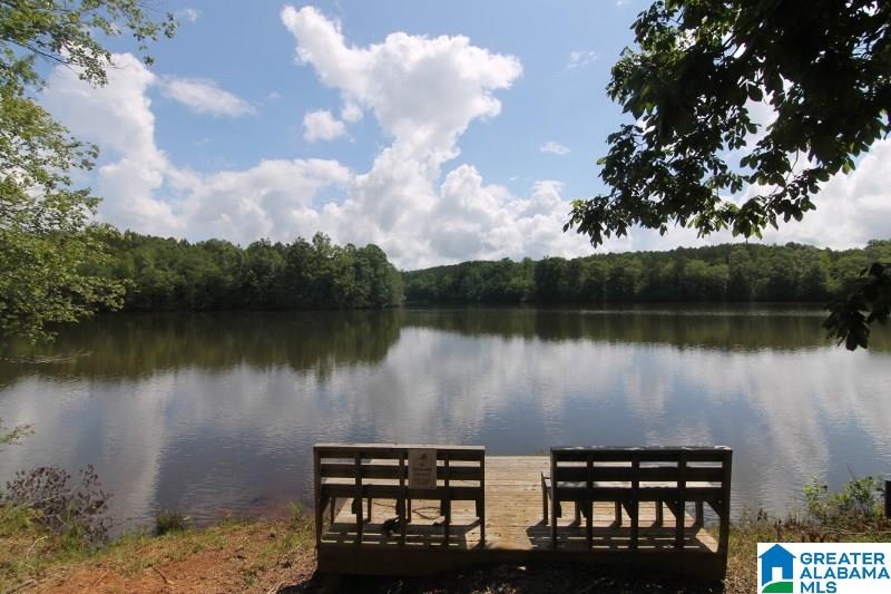 1853 Center Hill Road Lineville, AL 36266 - Photo 25 of 43 Gallery Image 25