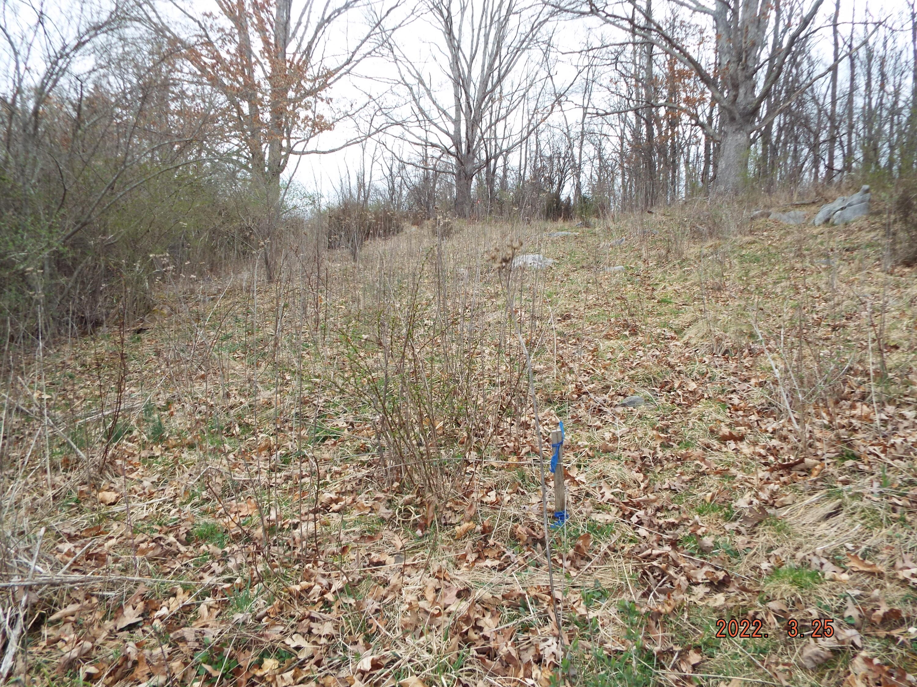 Mcelhenny Road Lewisburg, WV 24901 - Photo 4 of 7 Gallery Image 4