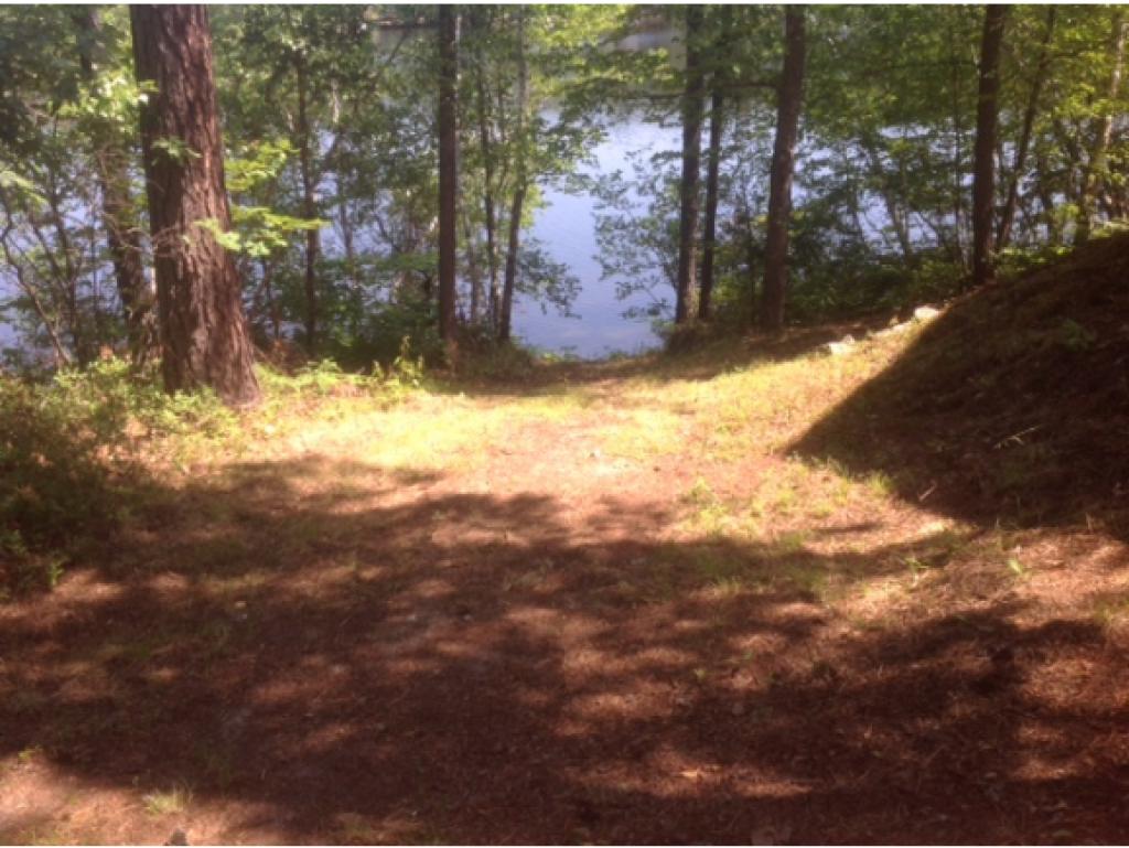 109 West Bay Road Freedom, NH 03836 - Photo 5 of 34