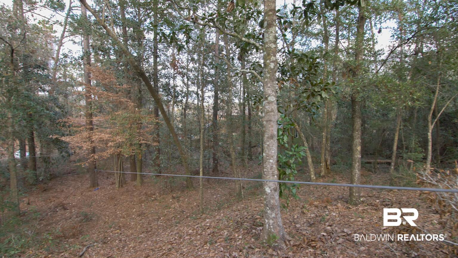 105 Raphael Semmes Drive West Daphne, AL 36527 - Photo 44 of 47 Zipline