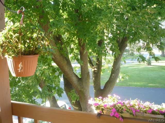 4623 Chestnut Ridge Road, Unit B Amherst, NY 14228 - Photo 12 of 16 Patio/Deck. Beautiful tree gives privacy to balcon