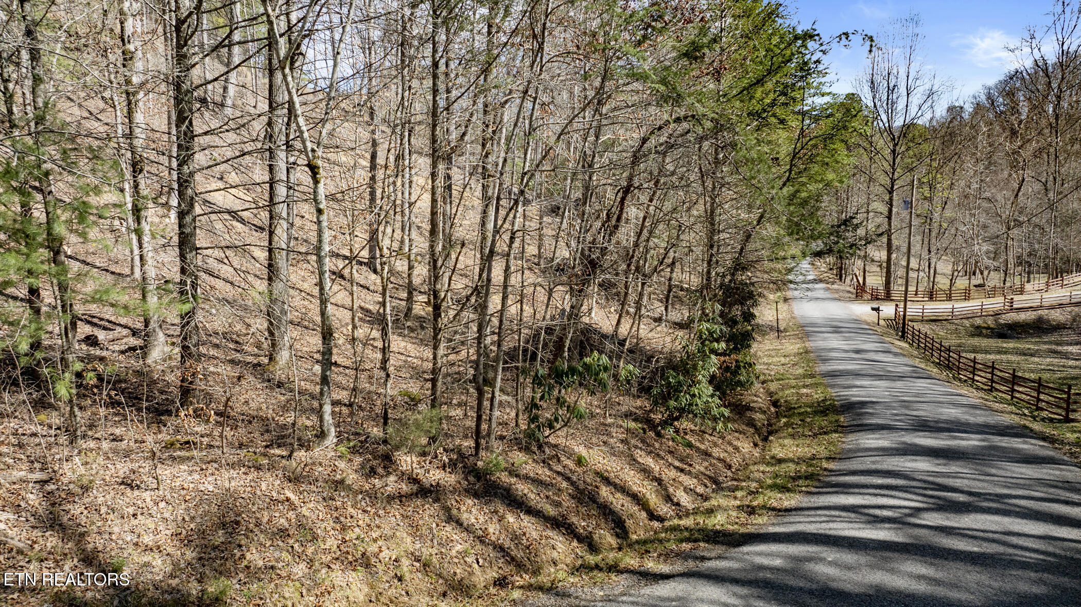 272 Cove Hollow Road Cosby, TN 37722 - Photo 8 of 17 COVE HOLLOW 6