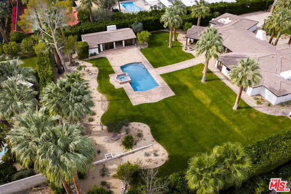 a palm tree sitting in front of a yard