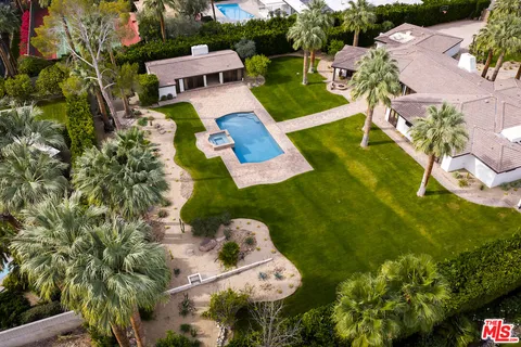 a palm tree sitting in front of a yard
