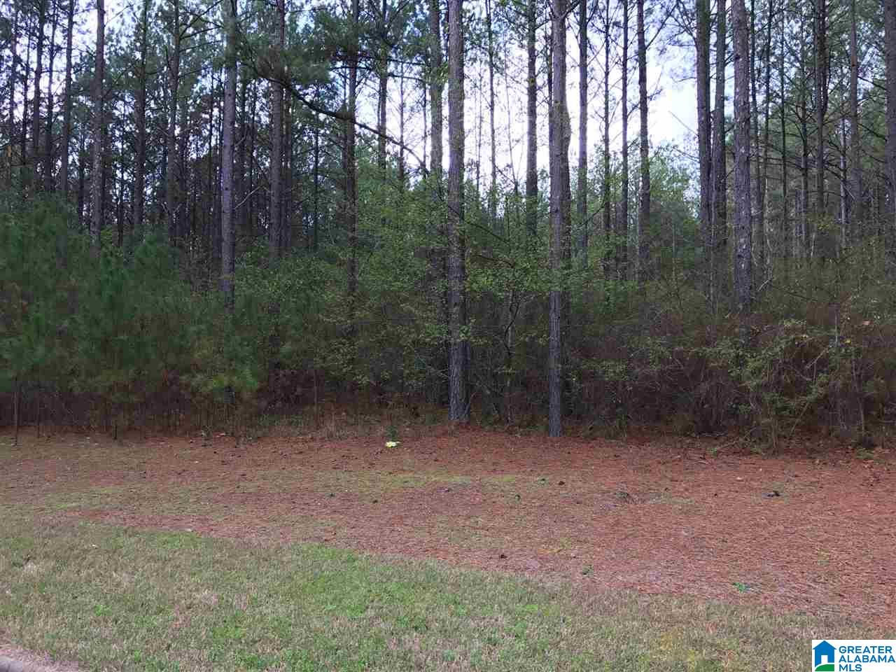 78 Pilgrims Path, Unit 19 Anniston, AL 36207 - Photo 24 of 35