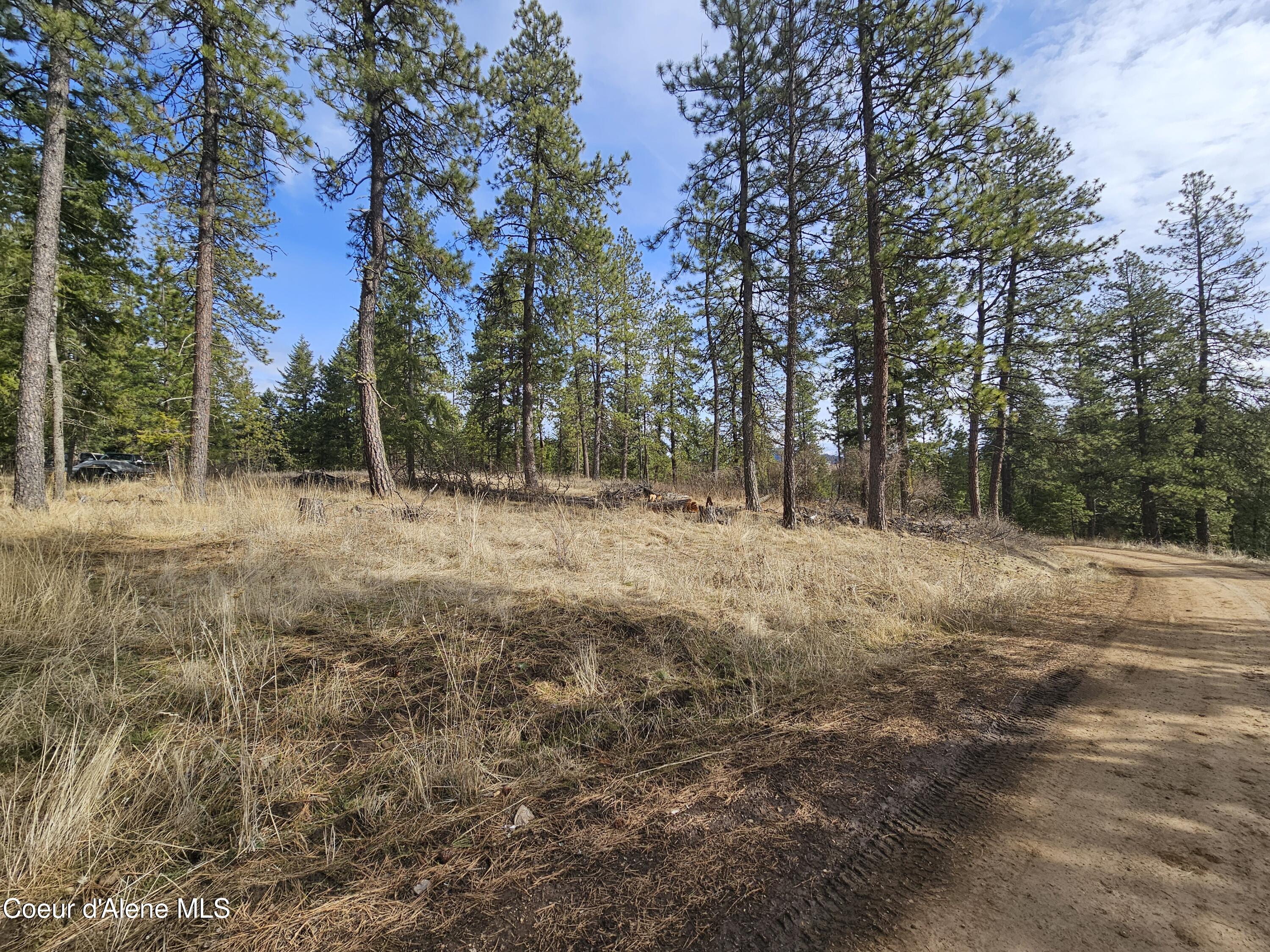 2252 East Badger Road Harrison, ID 83833 - Photo 4 of 21 Upper building site