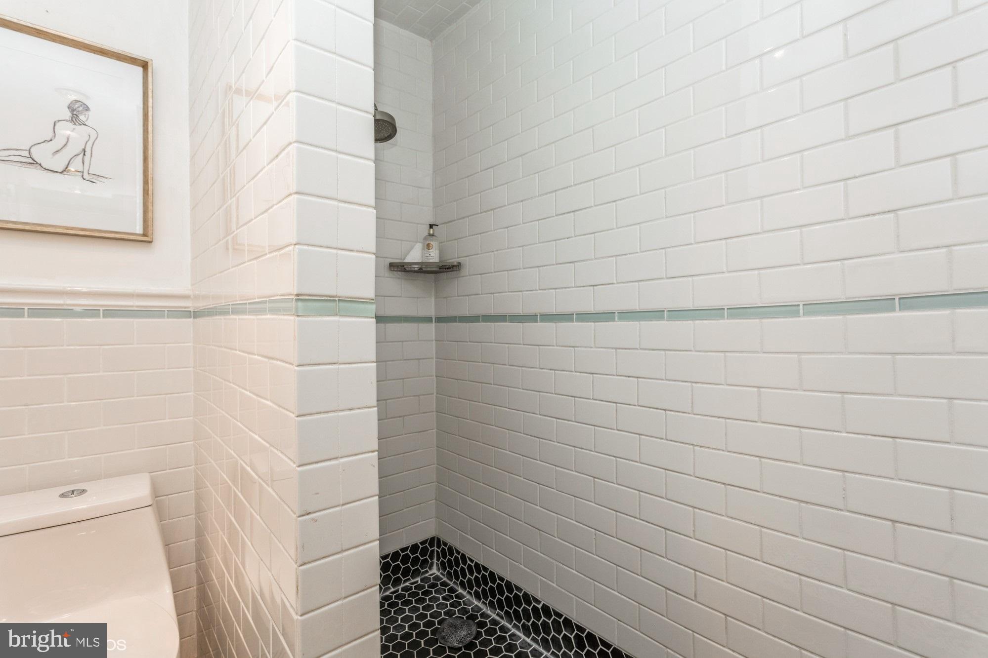 12015 Insha Court Reston, VA 20191 - Photo 26 of 39 BEAUTIFUL CUSTOM TILE WORK IN PRIMARY BATH