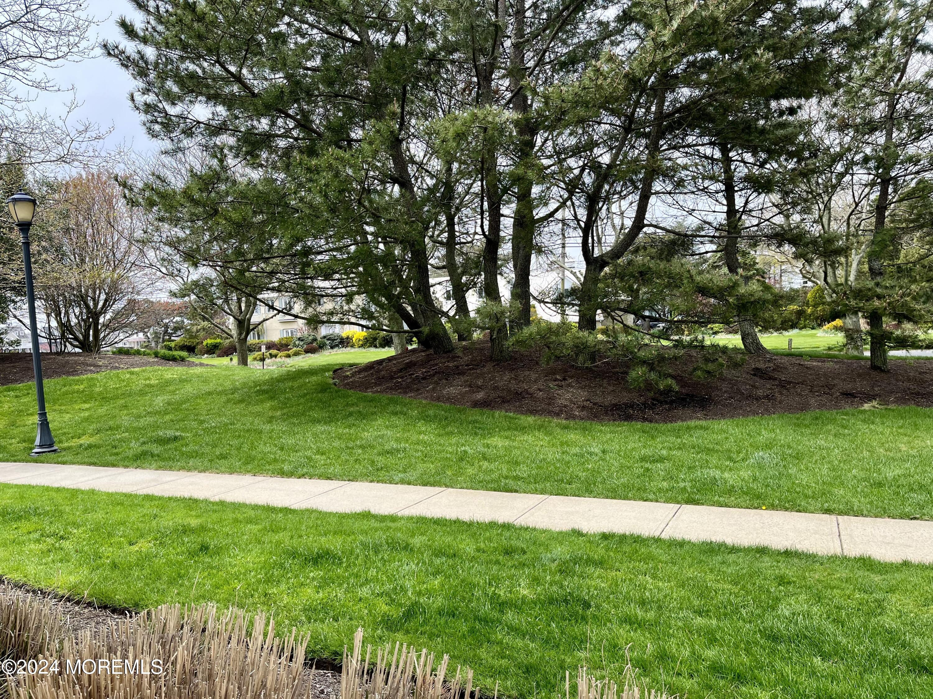 700 Ocean Avenue, Unit G38 Spring Lake, NJ 07762 - Photo 16 of 37 a view of a yard with a tree