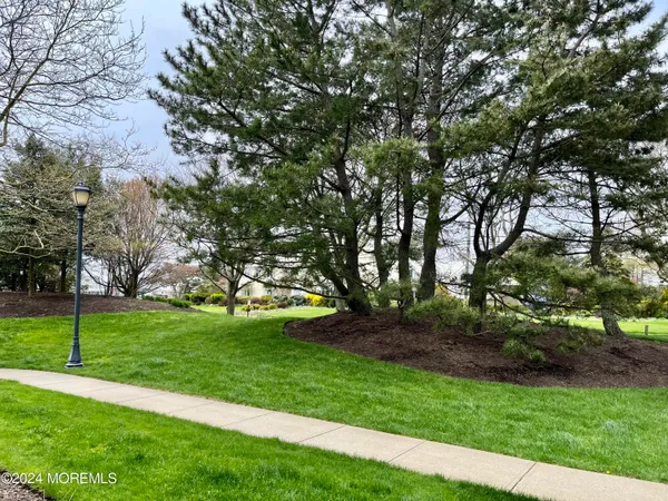 a view of a park with large trees