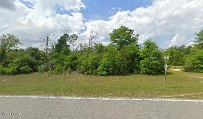 7000 St Park Road Bristol, FL 32321 - Photo 2 of 2