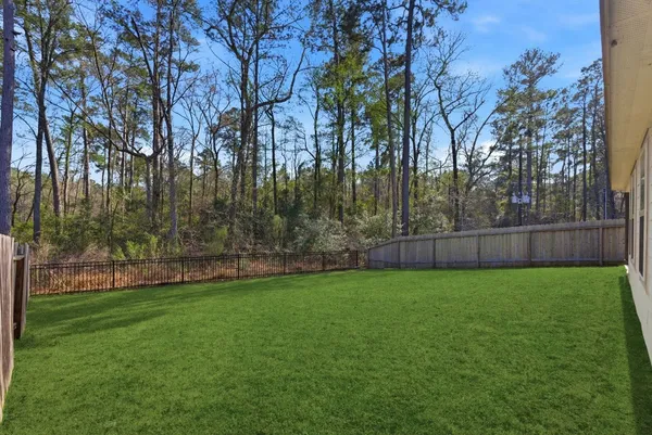 a view of a yard with a trees