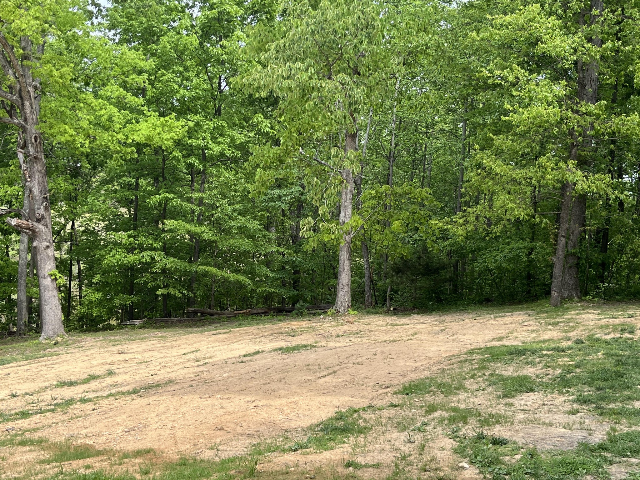 2450 Scotty Parker Road Portland, TN 37148 - Photo 32 of 33