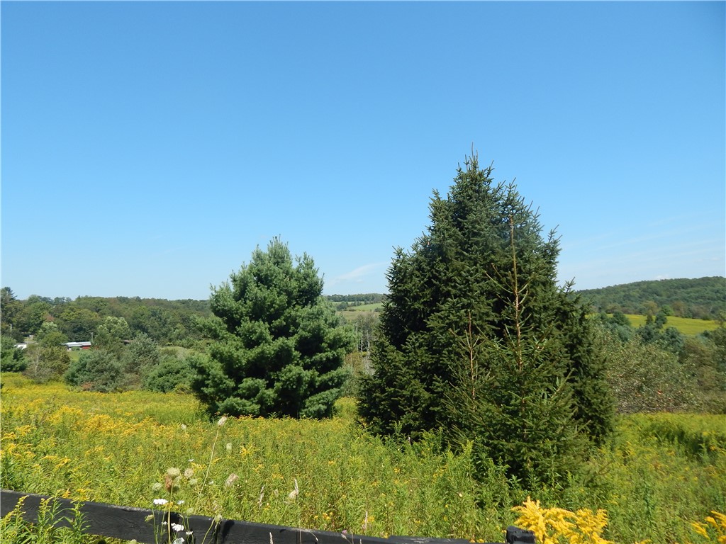 0 County Route 13 New Berlin, NY 13411 - Photo 4 of 7