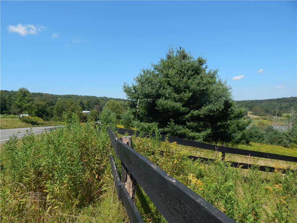 0 County Route 13 New Berlin, NY 13411 - Photo 5 of 7