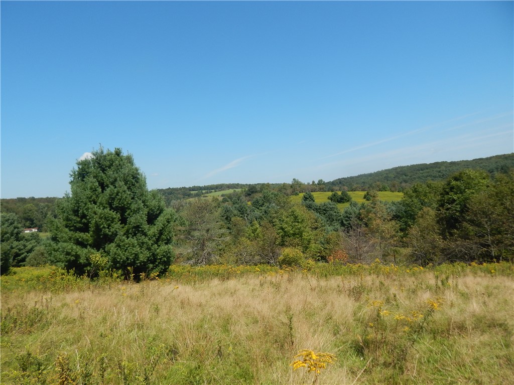 0 County Route 13 New Berlin, NY 13411 - Photo 6 of 7