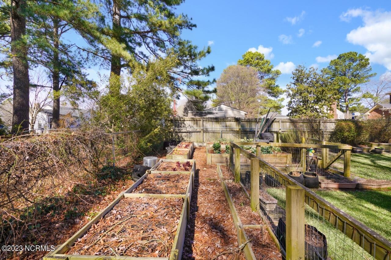 2703 Ridge Road Northwest Wilson, NC 27896 - Photo 32 of 33 Back Yard 2