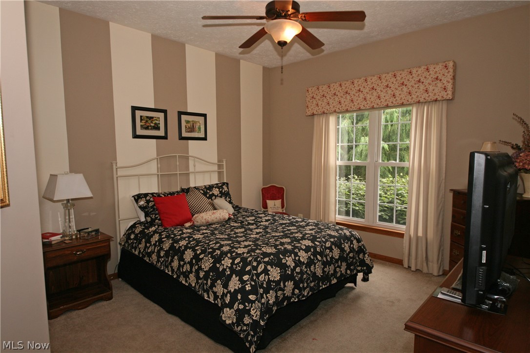 107 Timber Ridge Drive Elyria, OH 44035 - Photo 14 of 34 Bedroom #2, accent wall is just paint...very neutral.