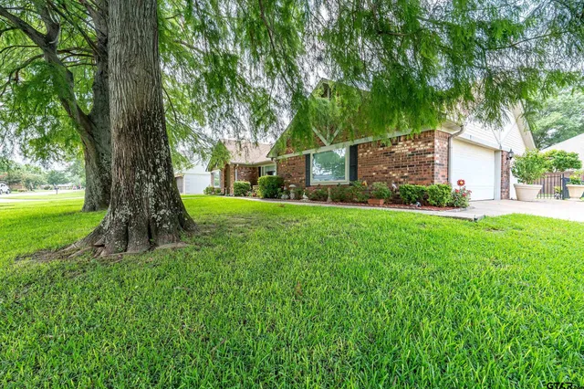 a view of a house with backyard and a tree