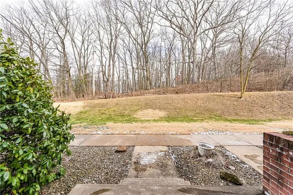 a view of a yard with a large tree