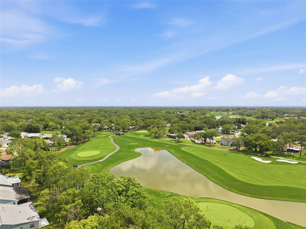 6463 Putters Circle Spring Hill, FL 34606 - Photo 69 of 70