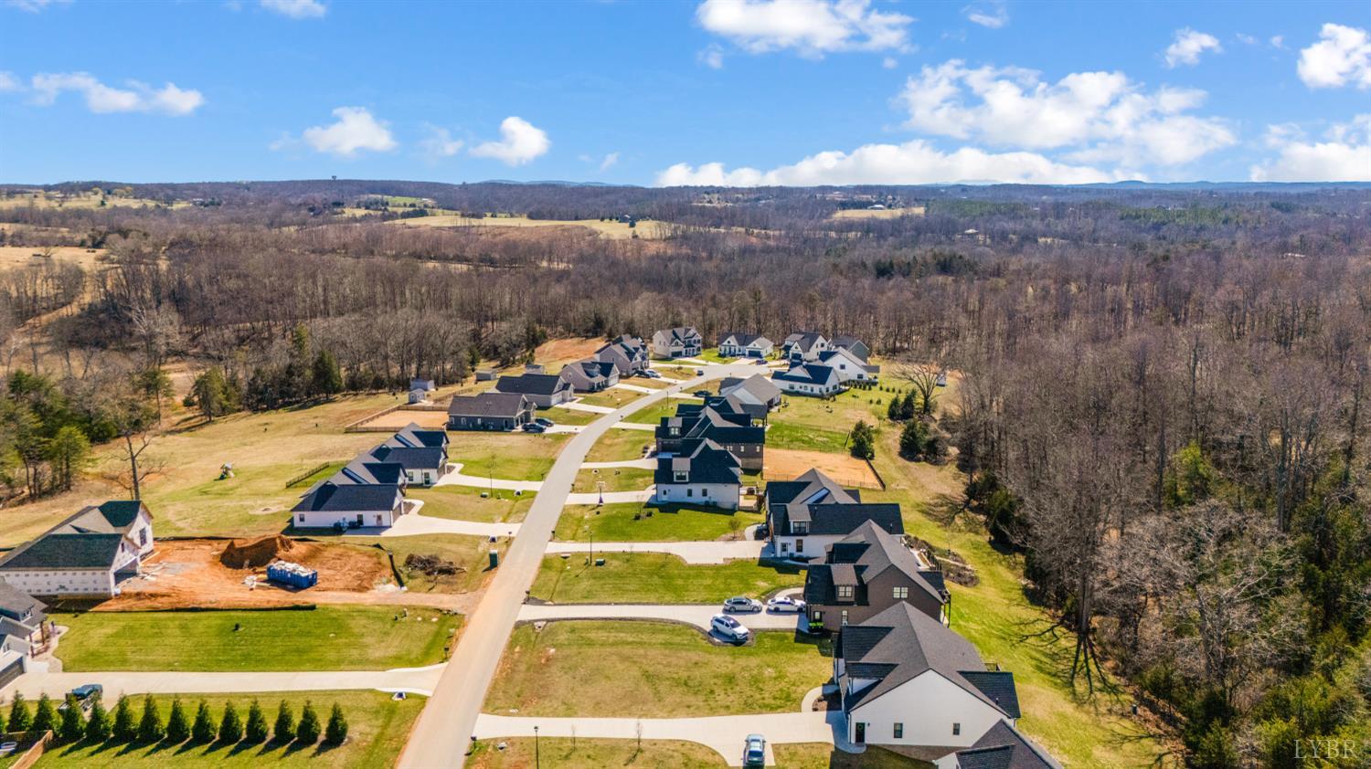 1089 Elk Creek Road Forest, VA 24551 - Photo 9 of 67