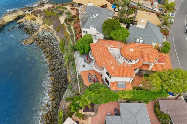 a view of a bunch of flowers in back