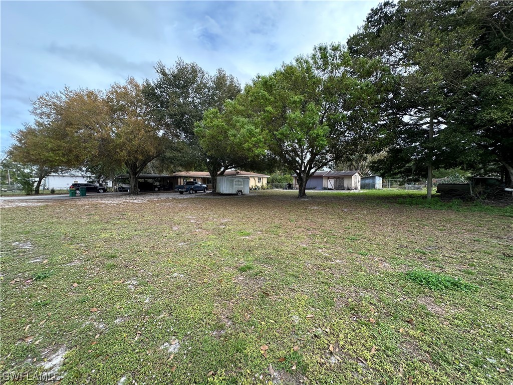 2404 Lake Trafford Road Immokalee, FL 34142 - Photo 6 of 9 a view of a tree next to a yard