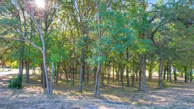 a backyard of a house with lots of trees