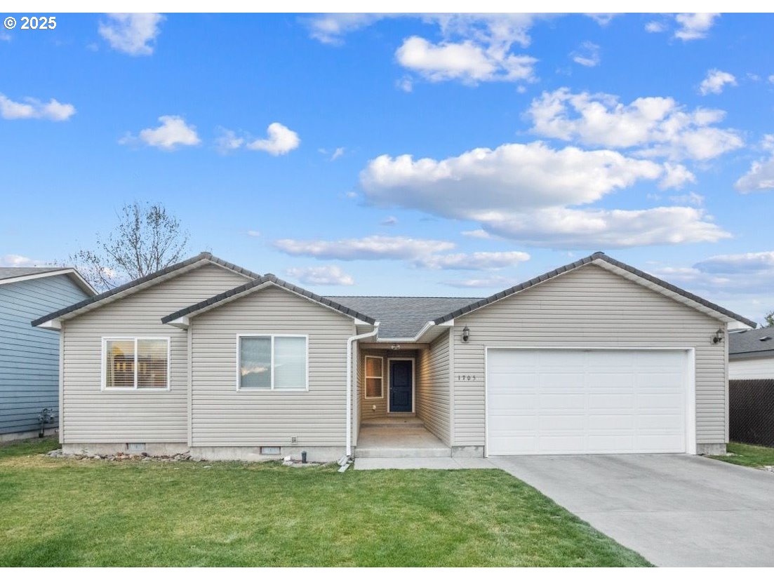 a view of a backyard with plants and a garden