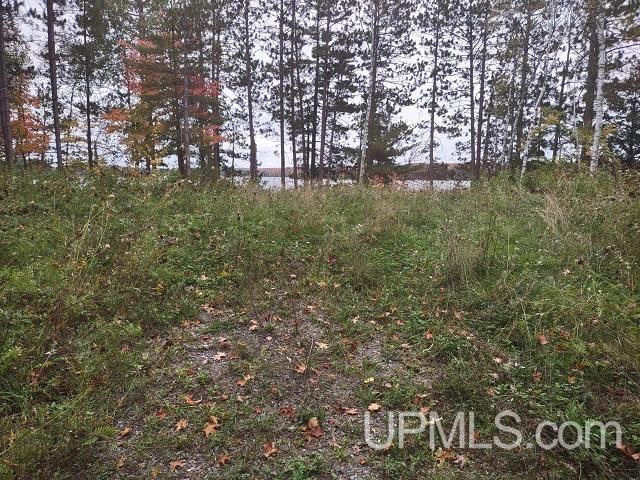 5800 Wolf Lake Road Watersmeet, MI 49969 - Photo 44 of 86