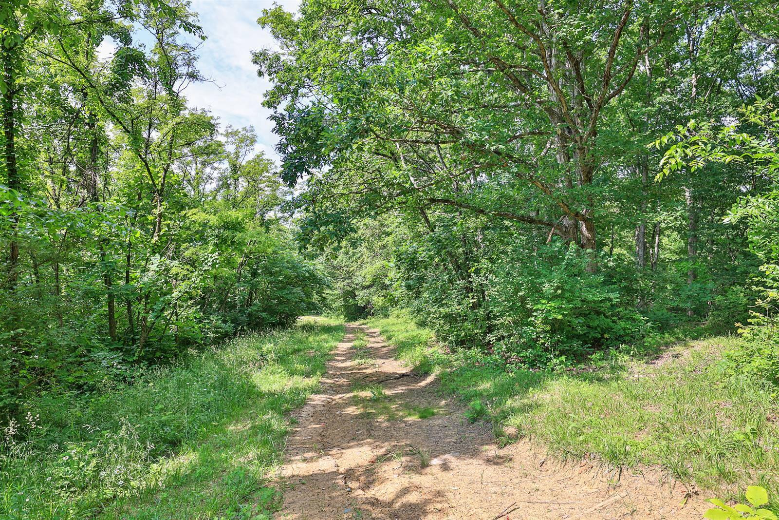 515 Saylor Point Road Corinth, KY 41010 - Photo 32 of 42