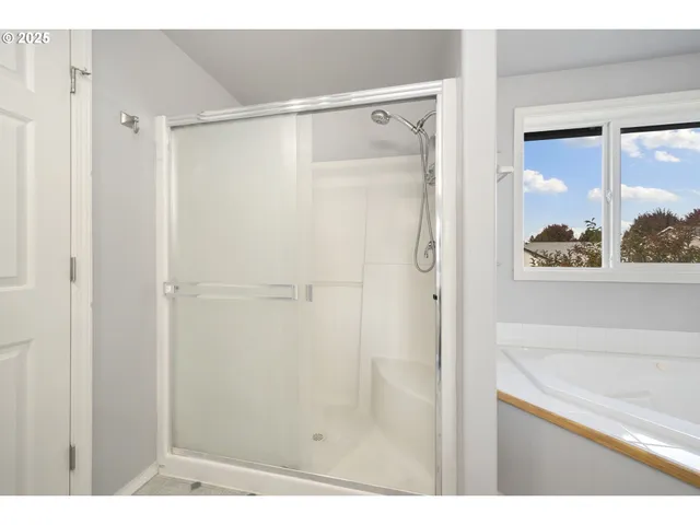 a bathroom with a shower and a sink