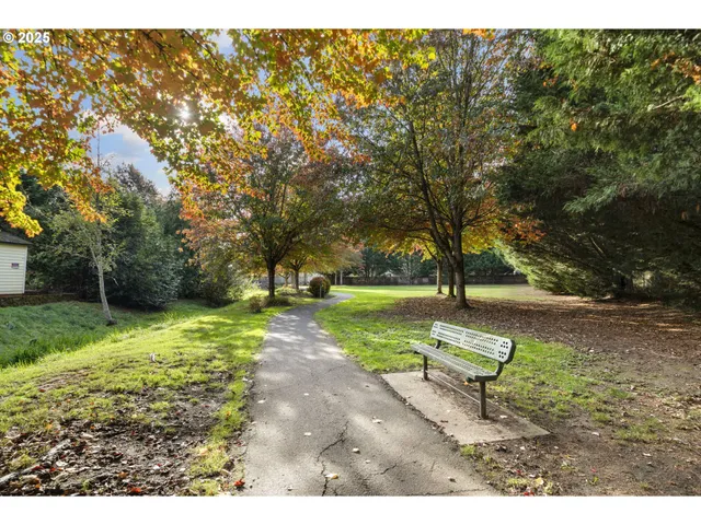 a view of a park with bench and trees