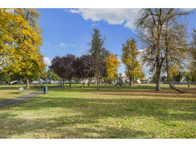 a grassy field with trees in the background