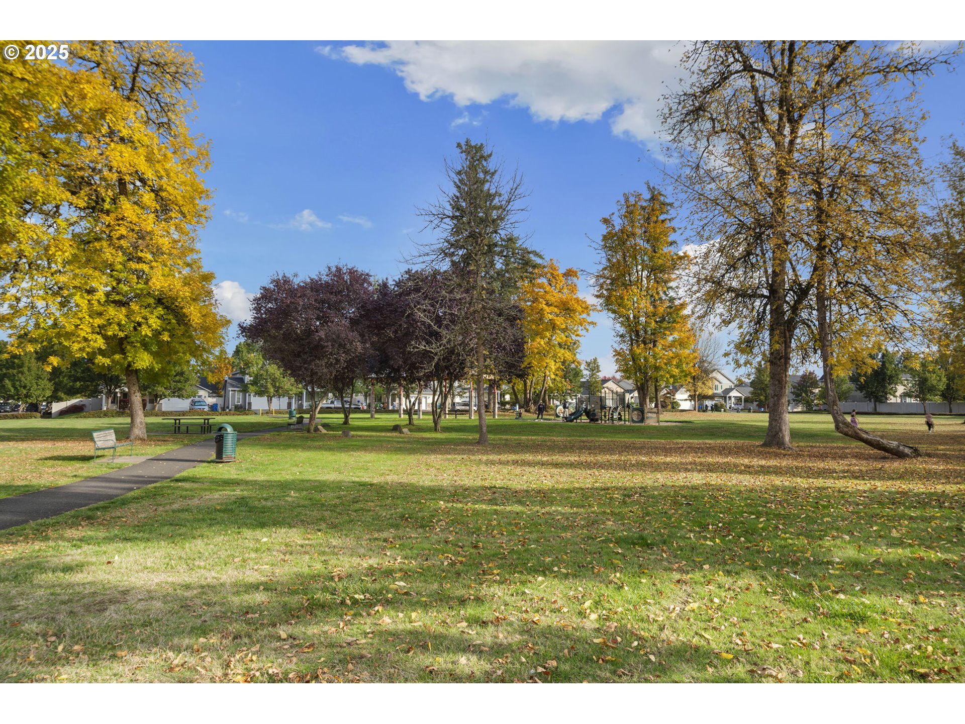 1311 Northwest 26th Avenue Battle Ground, WA 98604 - Photo 42 of 44 a grassy field with trees in the background