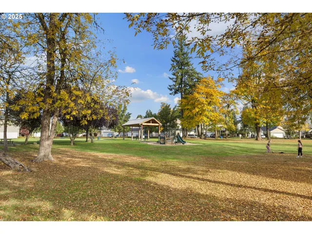 a big yard with lots of trees