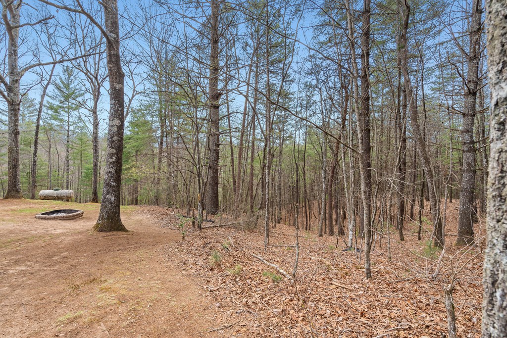 1340 Prince Road Murphy, NC 28906 - Photo 32 of 41