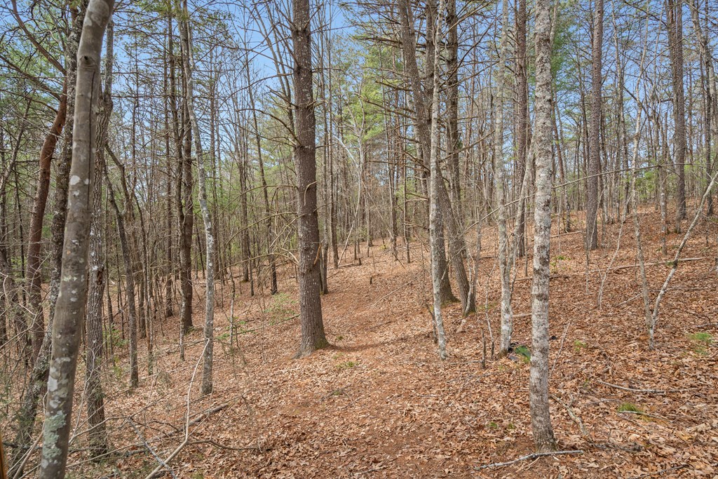 1340 Prince Road Murphy, NC 28906 - Photo 33 of 41