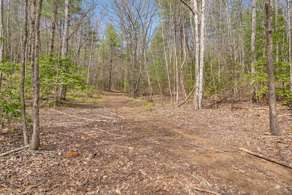 1340 Prince Road Murphy, NC 28906 - Photo 34 of 41