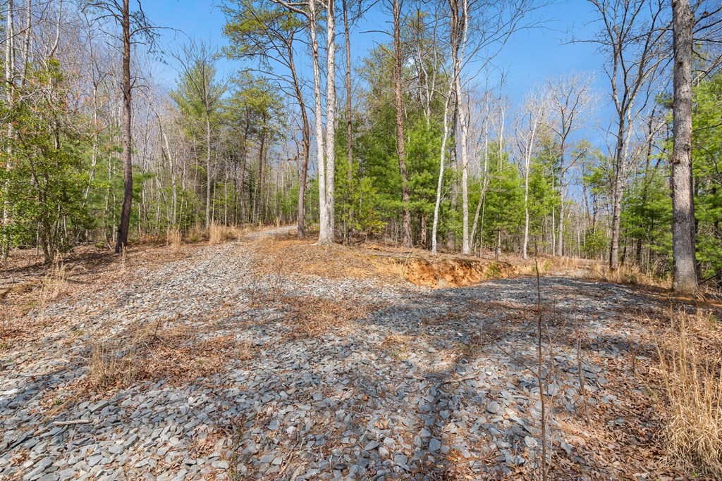 1340 Prince Road Murphy, NC 28906 - Photo 36 of 41