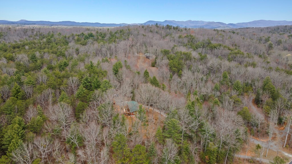 1340 Prince Road Murphy, NC 28906 - Photo 39 of 41